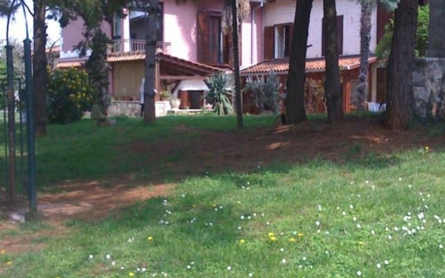 Apartment Niv - 30 m from beach: 1 - B1 Umag, Istria