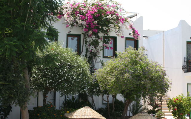 Bronze Hotel