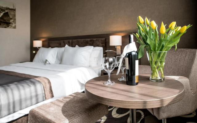 Holiday Inn Dabrowa Gornicza by IHG