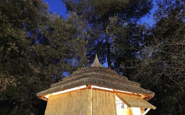Pine Beach Pakostane - All Inclusive light