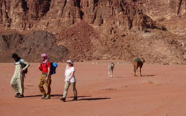 Wadirum Quiet Village Camp