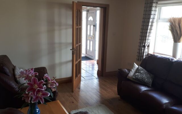 Dingle Harbour Nights B&B