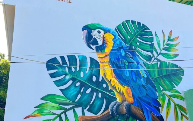 Tropical Hostel Santa Marta