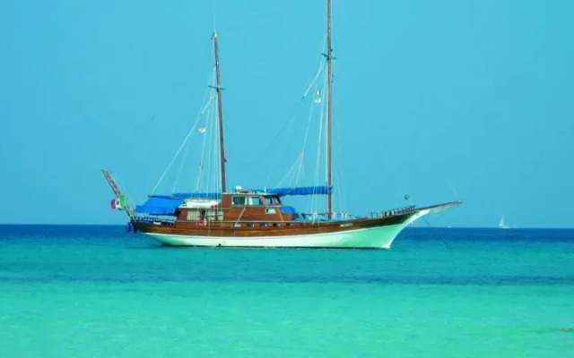 Non Solo Charter