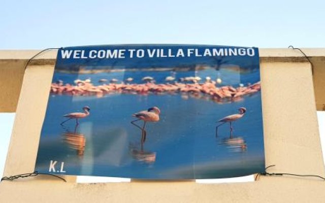 Flamingo Vila Alicante