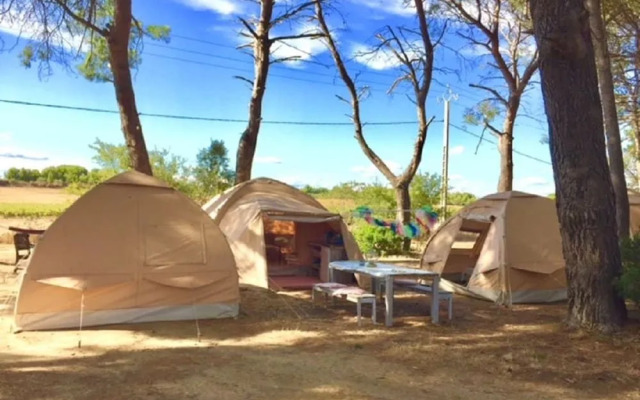 Saint Paul Le Marseillais