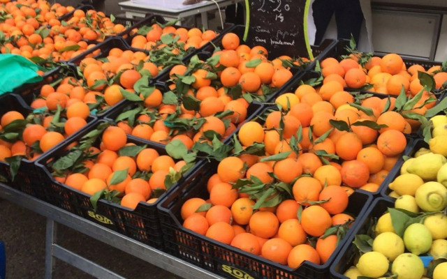 Hôtel de France et de Russie