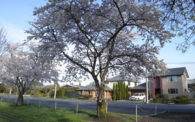 M&Y Guest House (Christchurch Airport)
