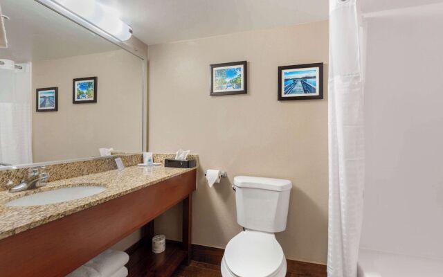 Comfort Inn & Suites Milford