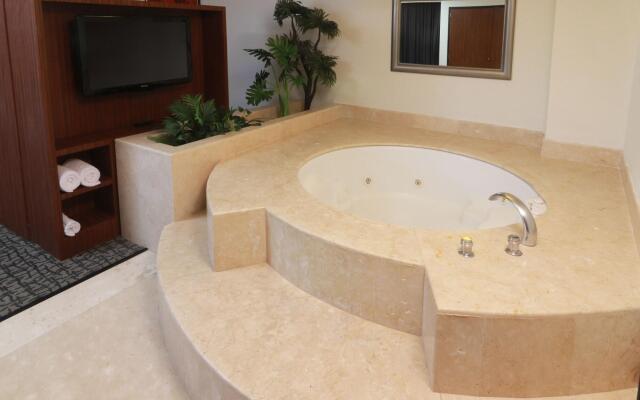 Holiday Inn Ciudad De Mexico-Trade Center by IHG