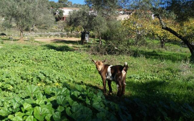 Casa Rural La Era 3