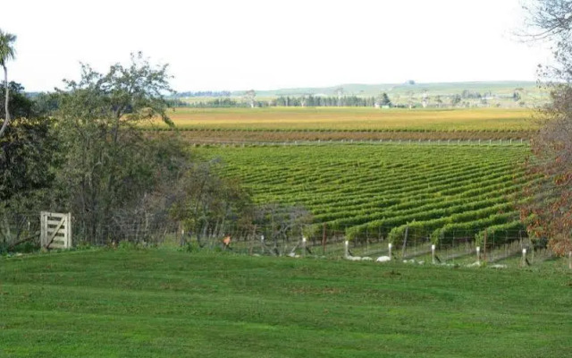 Ugbrooke Country Estate