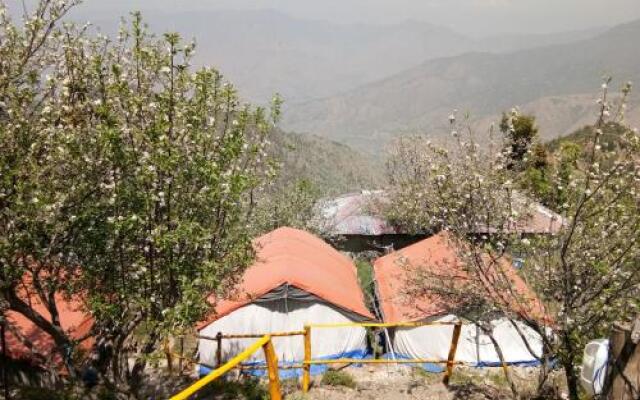 Dhanaulti  Wood Camp