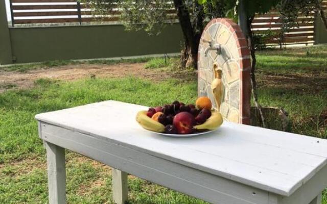 Green Olive Studios 3