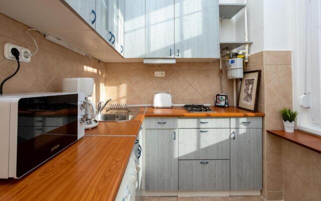 Central Design Apartment