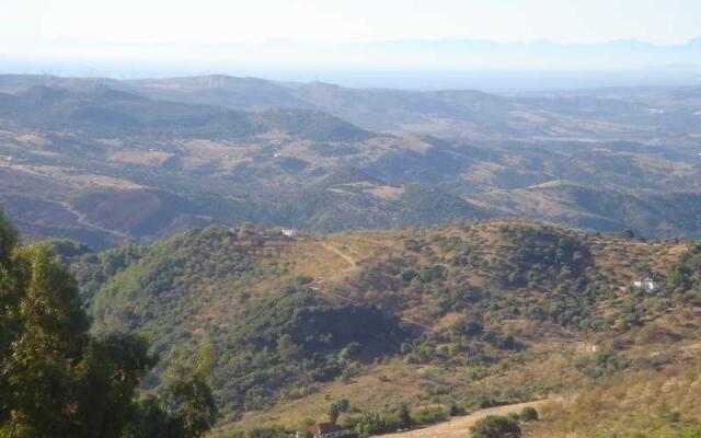 Caballo Andaluz