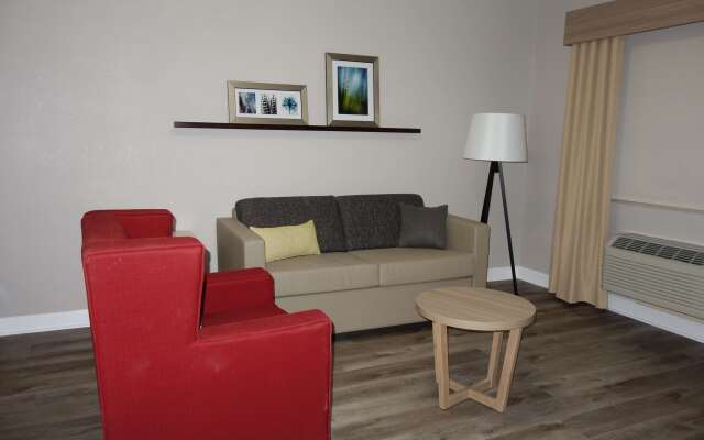 Comfort Suites Shenandoah-The Woodlands