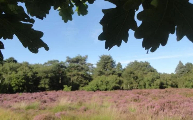 Bed&Breakfast Alkmaar Onder de Watertoren