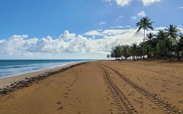 Coastal Puerto Rican Apartment - Walk to Beach! — фото 3