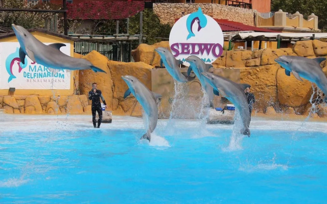 Peaceful Studio Apartment With Amazing Views