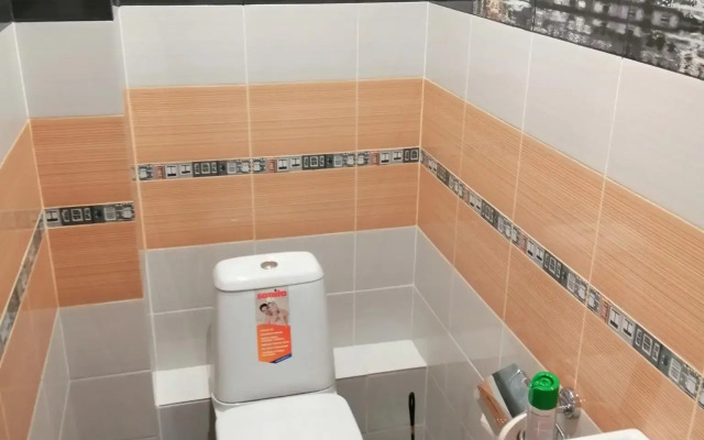 Апартаменты на улице 50 лет ВЛКСМ 38