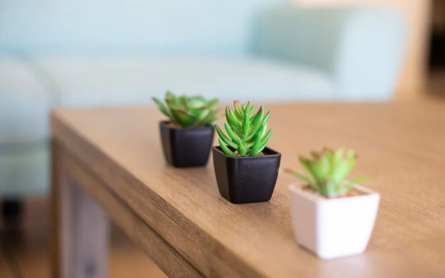 Tropical Oasis 12 Ocean Views