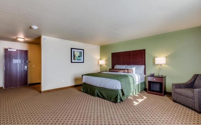 Cobblestone Inn & Suites - Waverly