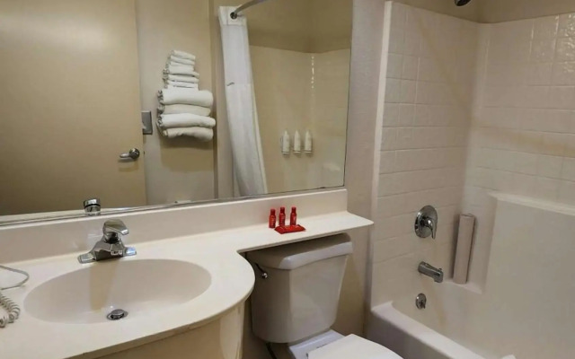 Holiday Inn Express & Suites Millington by IHG