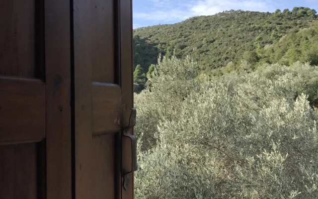 Skopelos Inn