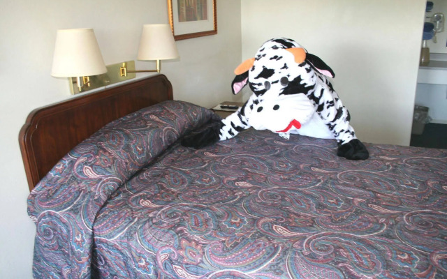 Town and Country Motel