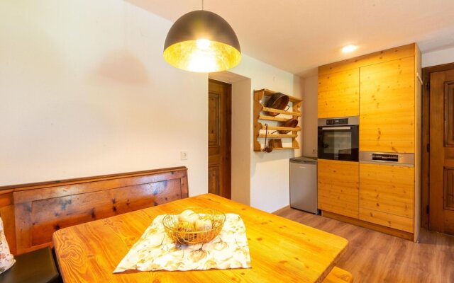 Renovated Farmhouse Stoanerbauer With View