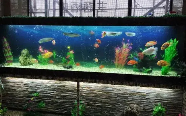 Yueyang Qingcheng Theme Hotel