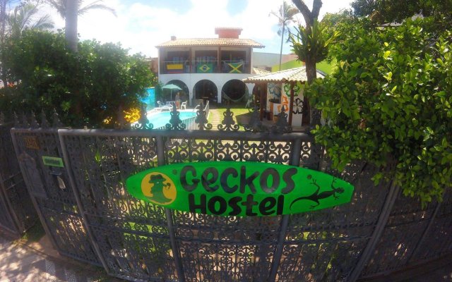 Geckos Hostel