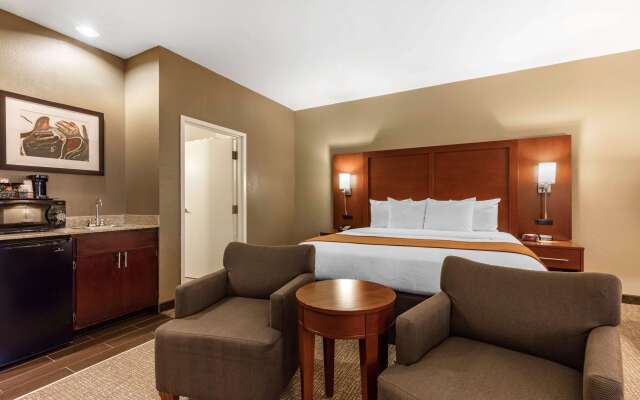 Comfort Inn Memphis Downtown