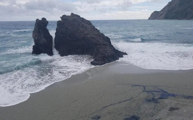 Olivia New Apt with - AC