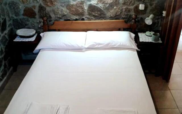 Antonis's Palm House