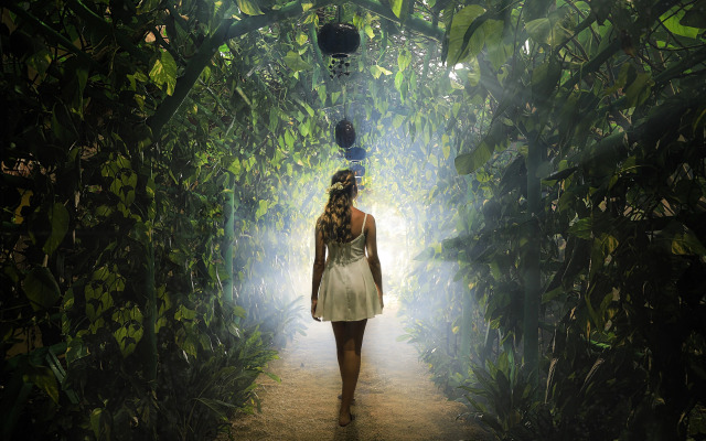 Xolumado Inspiration Village by Karisma