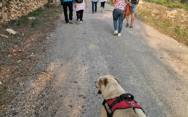 Rural Jordà