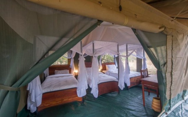 Acacia Migration Camp Kogatende