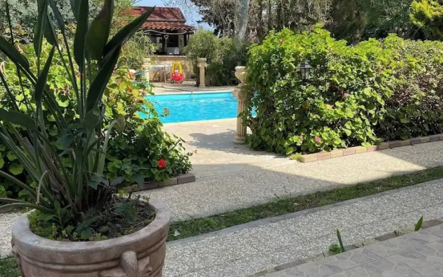 Room in Guest Room - Kritos Apartments-one Bedroom