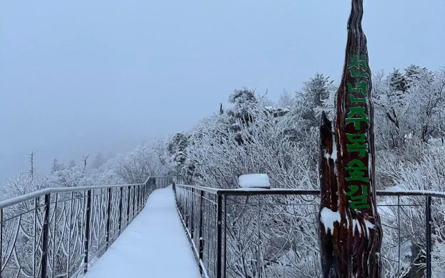 Yongpyong Resort
