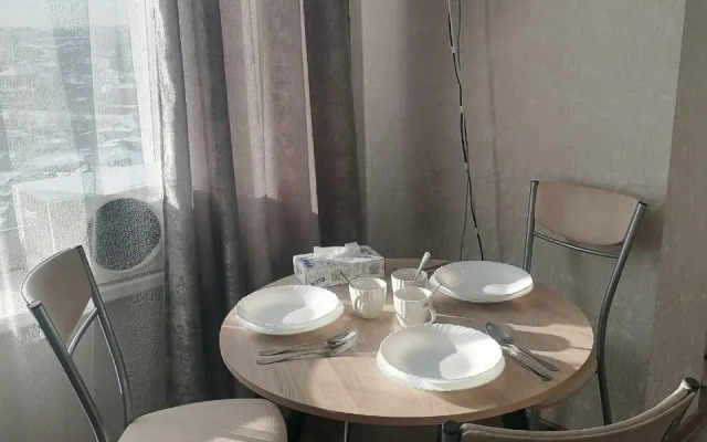 Apartments on Kirova street 206A