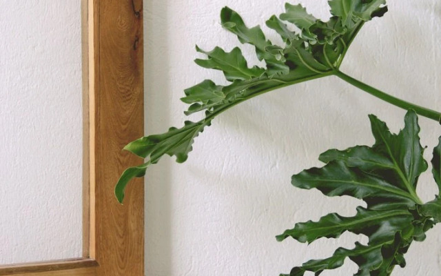 Casa del Pavo Real Boutique Hotel