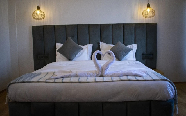 Silverfern By The Hillside