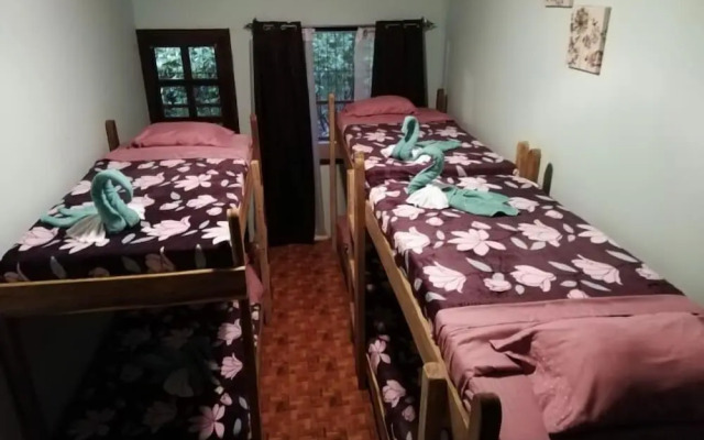 Blue Morpho - Hostel