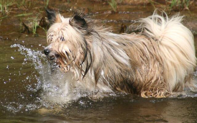 Ferienwohnung-Waldstrasse-mit-Garten-nur-50-Meter-vom-Wald-entfernt
