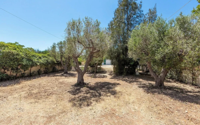 4085 Villa Teresa Portoselvaggio by Barbarhouse