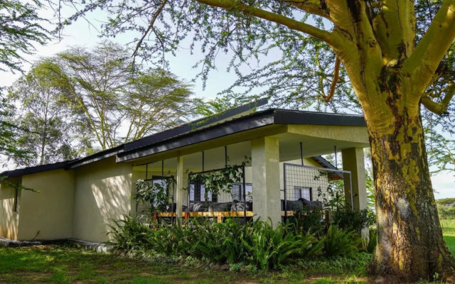 The Cabin