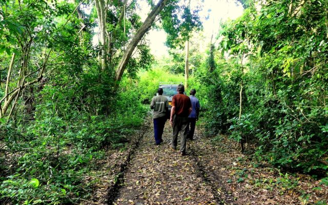 Wami River Bush Retreat - Kisampa