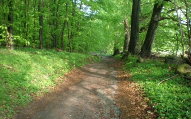 Ostsee-Ferienwohnung-Sellin